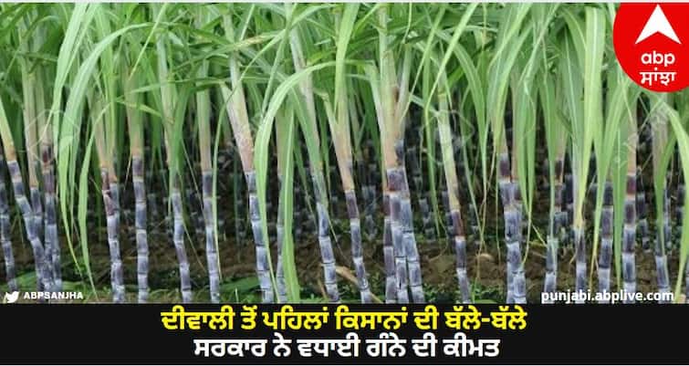 Before Diwali, the government gave good news to the farmers, increased price of sugarcane, know the new rate Sugarcane Price: ਦੀਵਾਲੀ ਤੋਂ ਪਹਿਲਾਂ ਕਿਸਾਨਾਂ ਦੀ ਬੱਲੇ-ਬੱਲੇ, ਸਰਕਾਰ ਨੇ ਵਧਾਈ ਗੰਨੇ ਦੀ ਕੀਮਤ, ਜਾਣੋ ਨਵੇਂ ਭਾਅ