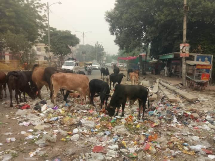 गुरुग्राम नगर निगम के सफाई कर्मचारी कई दिनों से हड़ताल पर है. इसकी वजह से सफाई व्यवस्था पूरी तरह से चरमरा गई है. हड़ताली कर्मचारियों व सरकार के बीच ठनी हुई है.