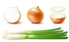 Tiangong Space Station: পৃথিবীর বাইরেও টান পড়বে না পেটে! মহাকাশে ফসল ফলিয়ে নজির চিনের