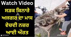 Viral Video: ਸੜਕ ਕਿਨਾਰੇ ਅਜਗਰ ਦਾ ਮਾਸ ਵੇਚਦੀ ਨਜ਼ਰ ਆਈ ਔਰਤ, ਵੀਡੀਓ ਦੇਖ ਲੋਕਾਂ ਦੇ ਉੱਡ ਗਏ ਹੋਸ਼