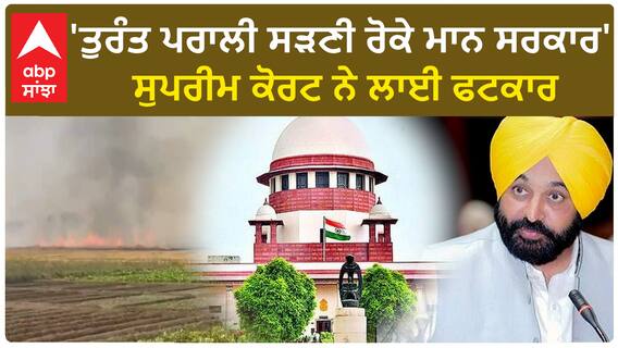 SC raps Punjab over stubble burning | 'ਤੁਰੰਤ ਪਰਾਲੀ ਸੜਣੀ ਰੋਕੇ ਮਾਨ ਸਰਕਾਰ'-ਸੁਪਰੀਮ ਕੋਰਟ ਨੇ ਲਾਈ ਫਟਕਾਰ