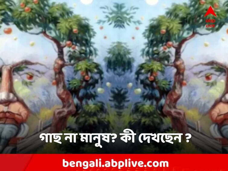 Optical Image Optical Illusion tree or face which image shows you first Optical Illusion: গাছ না মানুষ, ছবিতে কোনটি আগে দেখলেন?