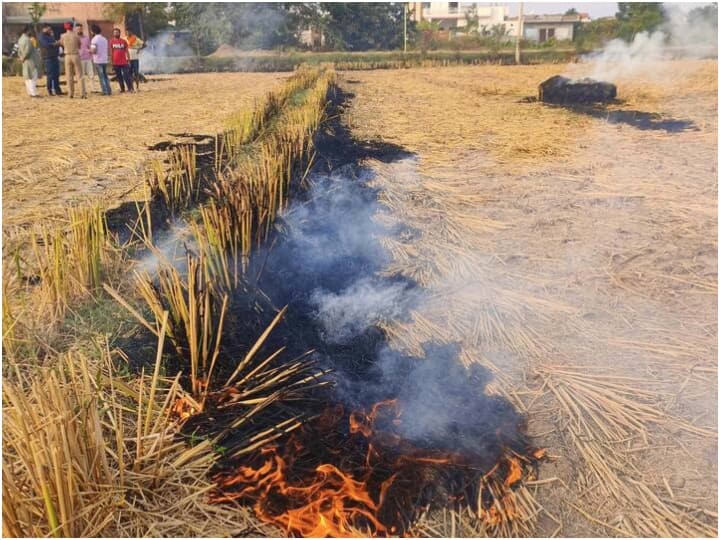 air pullution over 1500 stubble burning cases recorded in punjab haryana records severe aqi Punjab: पंजाब में पराली जलाने के 1500 मामले आए सामने, संगरूर में सबसे ज्यादा केस