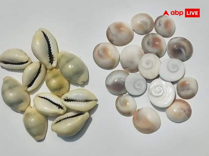 पीली कौड़ी: कौड़ी को मां लक्ष्मी का प्रतीक माना जाता है. दिवाली के दिन मां लक्ष्मी की पूजा करें और पीली कौड़ी चढ़ाएं. इसके बाद इन कौड़ी को लॉकर में रख दें. इससे लॉकर कभी खाली नहीं रहेगा.