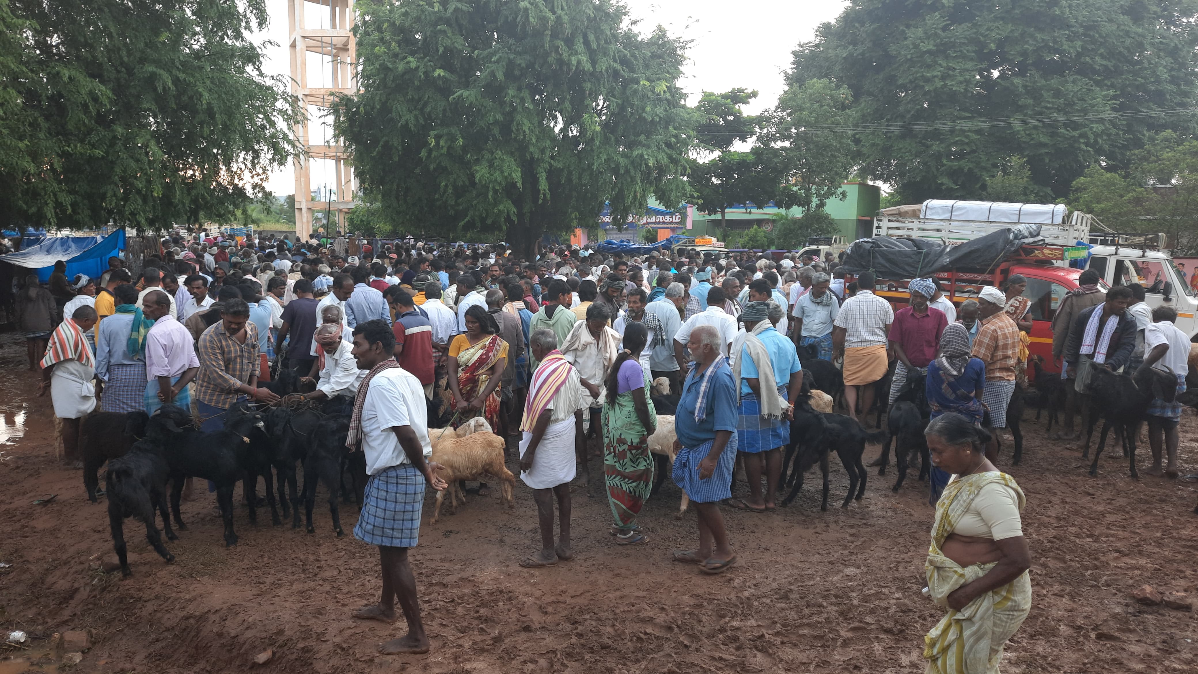 நல்லம்பள்ளி வாரச் சந்தையில் ரூ. 2 கோடிக்கு  ஆடுகள் விற்பனை - வியாபாரிகள் மகிழ்ச்சி