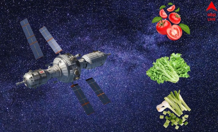 China Grown Vegetables in Space: পৃথিবীর বাইরে শাক-সবজির চাষ। নজির গড়ল চিন।