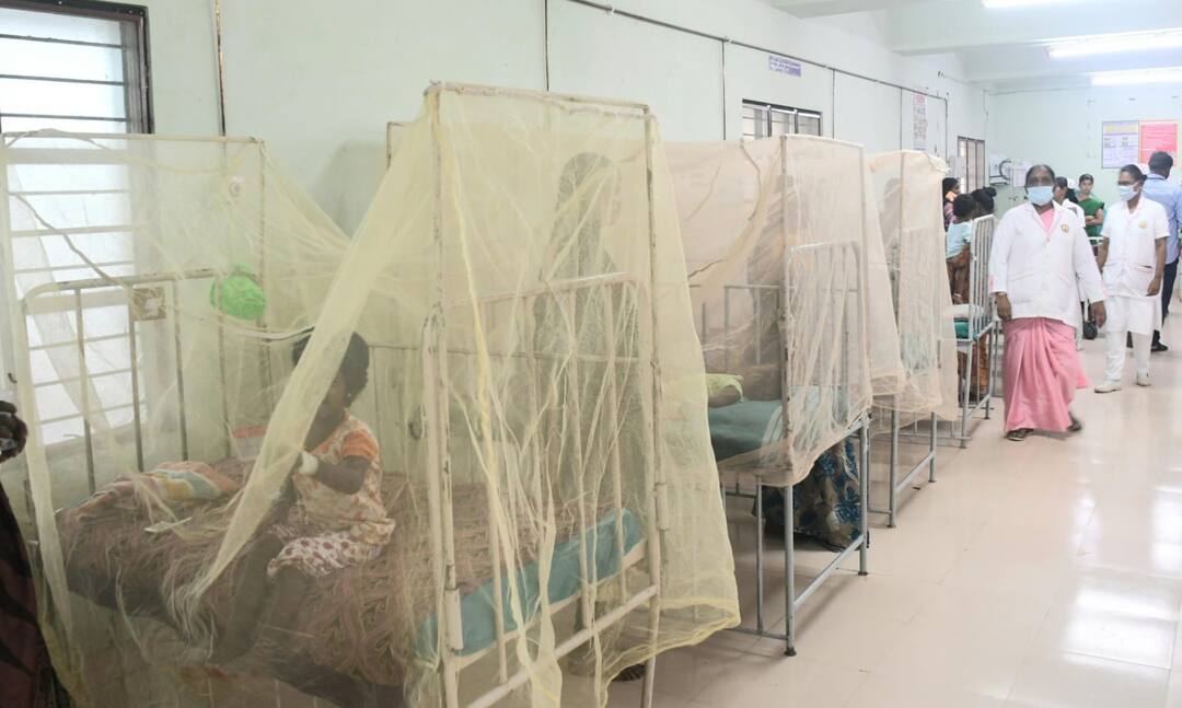 மிரட்டும் வைரஸ் காய்ச்சல்- தூத்துக்குடி மருத்துவமனையில் 50க்கும் மேற்பட்டோர் அனுமதி