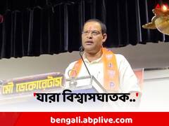 PM বিশ্বকর্মা যোজনা নিয়ে বড় বার্তা BJP নেতার, মাশুল গুনতে হবে কাদের ?