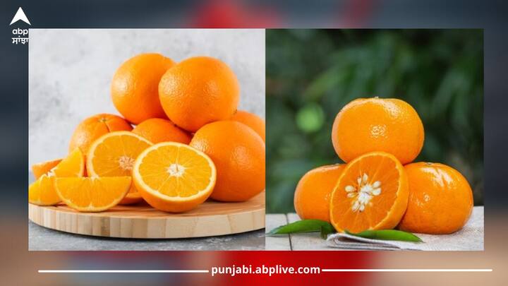 Side Effects Of Eating Oranges: ਕੀ ਤੁਸੀਂ ਜਾਣਦੇ ਹੋ ਕਿ ਸੰਤਰੇ ਨੂੰ ਕਦੇ ਵੀ ਖਾਲੀ ਪੇਟ ਖਾਣ ਦੀ ਸਲਾਹ ਨਹੀਂ ਦਿੱਤੀ ਜਾਂਦੀ। ਖਾਲੀ ਪੇਟ ਸੰਤਰਾ ਖਾਣ ਨਾਲ ਸਿਹਤ ਨੂੰ ਫਾਇਦਾ ਨਹੀਂ ਹੁੰਦਾ ਸਗੋਂ ਨੁਕਸਾਨ ਹੁੰਦਾ ਹੈ। ਆਓ ਜਾਣਦੇ ਹਾਂ ....