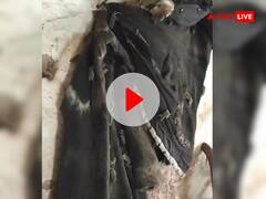 दीवार पर जैकेट टांगकर भूल गया शख्स, महीनों बाद पहनने के लिए उठाया, तो नजारा देखकर उड़ गए होश, देखें VIDEO