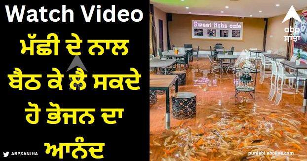 unique restaurant in Thailand you can sit and enjoy food with fish video viral on social media Viral Video: ਥਾਈਲੈਂਡ ਵਿੱਚ ਵਿਲੱਖਣ ਰੈਸਟੋਰੈਂਟ, ਮੱਛੀ ਦੇ ਨਾਲ ਬੈਠ ਕੇ ਲੈ ਸਕਦੇ ਹੋ ਭੋਜਨ ਦਾ ਆਨੰਦ, ਵੀਡੀਓ ਸੋਸ਼ਲ ਮੀਡੀਆ 'ਤੇ ਵਾਇਰਲ