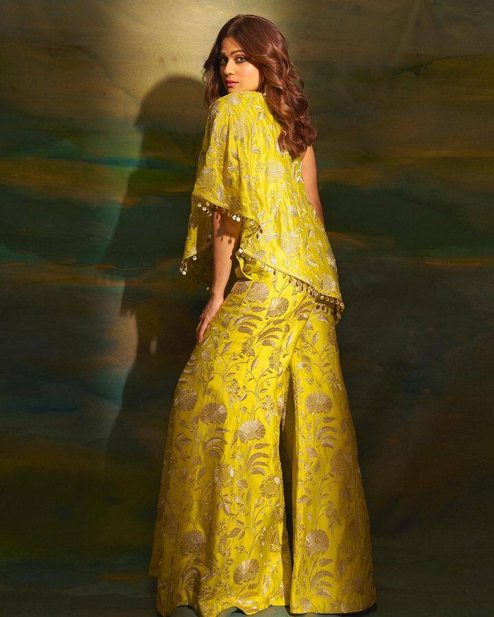 बिग बॉसच्या तिसऱ्या आणि 15 व्या सिझनमध्ये देखील तिनं सहभाग घेतला होता.  'यो के हुआ ब्रो'  या सीरिजमध्ये शमितानं काम केलं.