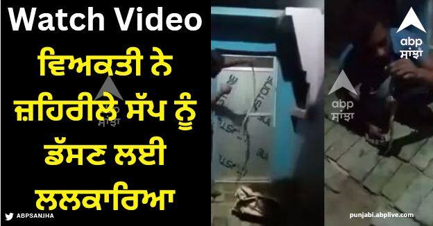 viral video drunk up man plays with snake gets bitten dies in deoria Viral Video: ਵਿਅਕਤੀ ਨੇ ਜ਼ਹਿਰੀਲੇ ਸੱਪ ਨੂੰ ਡੱਸਣ ਲਈ ਲਲਕਾਰਿਆ, ਸੱਪ ਨੇ ਤੁਰੰਤ ਦਿੱਤੀ ਮੌਤ, ਰੂਹ ਕੰਬਾਓ ਵੀਡੀਓ ਆਈ ਸਾਹਮਣੇ