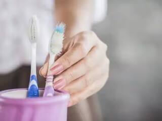 Toothbrush Day 2023 : बहुतेक लोकांना टूथपेस्ट लावण्यापूर्वी ब्रश ओला करणे चांगले वाटते.