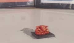 Ratnagiri News: रत्नागिरीच्या राहुल कळंबटेंनी रेखाटली जगातील सर्वात लहान 3D रांगोळी