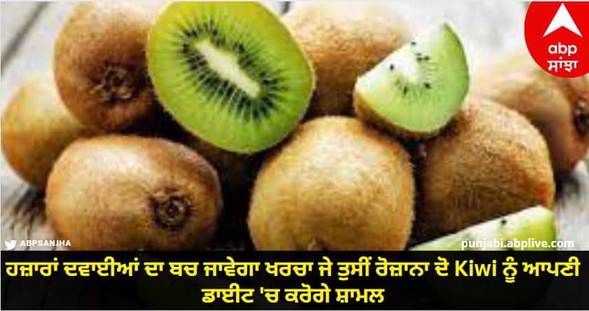 kiwi fruit health benefits and its nutrition facts know details Kiwi Benefits: ਹਜ਼ਾਰਾਂ ਦਵਾਈਆਂ ਦਾ ਬਚ ਜਾਵੇਗਾ ਖਰਚਾ ਜੇ ਤੁਸੀਂ ਰੋਜ਼ਾਨਾ ਦੋ Kiwi ਨੂੰ ਆਪਣੀ ਡਾਈਟ 'ਚ ਕਰੋਗੇ ਸ਼ਾਮਲ, ਸਰੀਰ ਬੇਣੇਗਾ ਮਜ਼ਬੂਤ ਤੇ ਬੀਮਾਰੀਆਂ ਤੋਂ ਰਹੋਗੇ ਦੂਰ