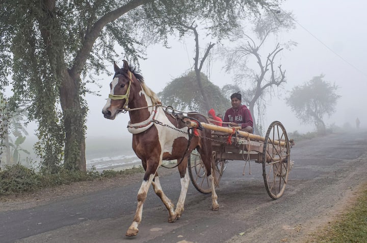 হেমন্তের আবহাওয়ায় তাপমাত্রা এবার নিম্নমুখী। আগামী কয়েকদিন জেলায় জেলায় পরিষ্কার আকাশ। আরও নামবে তাপমাত্রা।