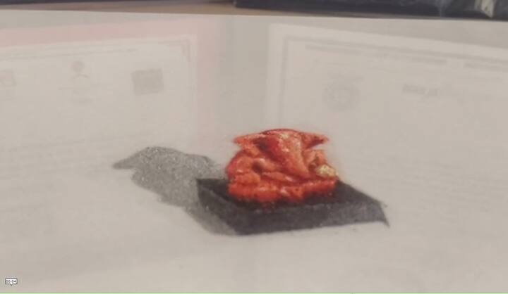 पांढर्‍या रंगाच्या टाइल्सवर काढून रांगोळीचे रंग वापरून ही रांगोळी काढण्यात आली.