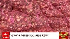 Gondal Yard : સૌરાષ્ટ્રના સૌથી મોટા ગોંડલ માર્કેટ યાર્ડમાં ડુંગળીની મબલખ આવકથી ભાવમાં થયો કડાકો