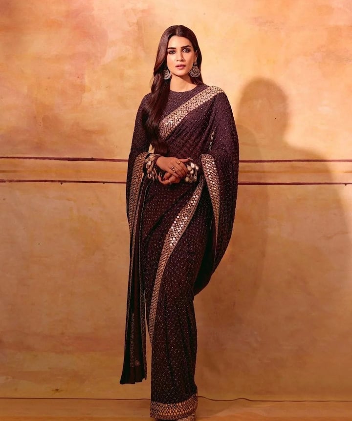 इस दिवाली अगर रेड, पिंक, येलो की जगह कोई नया कलर ट्राई करना चाहती हैं तो कृति सेनन की तरह ब्राउन कलर की खूबसूरत साड़ी कैरी कर सकती हैं.  लाइट सीक्वेंस साड़ी की बॉर्डर लोक में खूबसूरती डबल हो जाएगी.