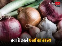 प्याज और लहसुन पर पाया जाने वाला काला पदार्थ क्या है? क्या हैं इसे रोकने के तरीके