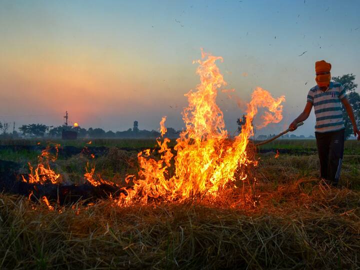 On Tuesday, Supreme Court asked the Punjab government to stop the stubble burning which causes the polllution in north India. Image Source: PTI