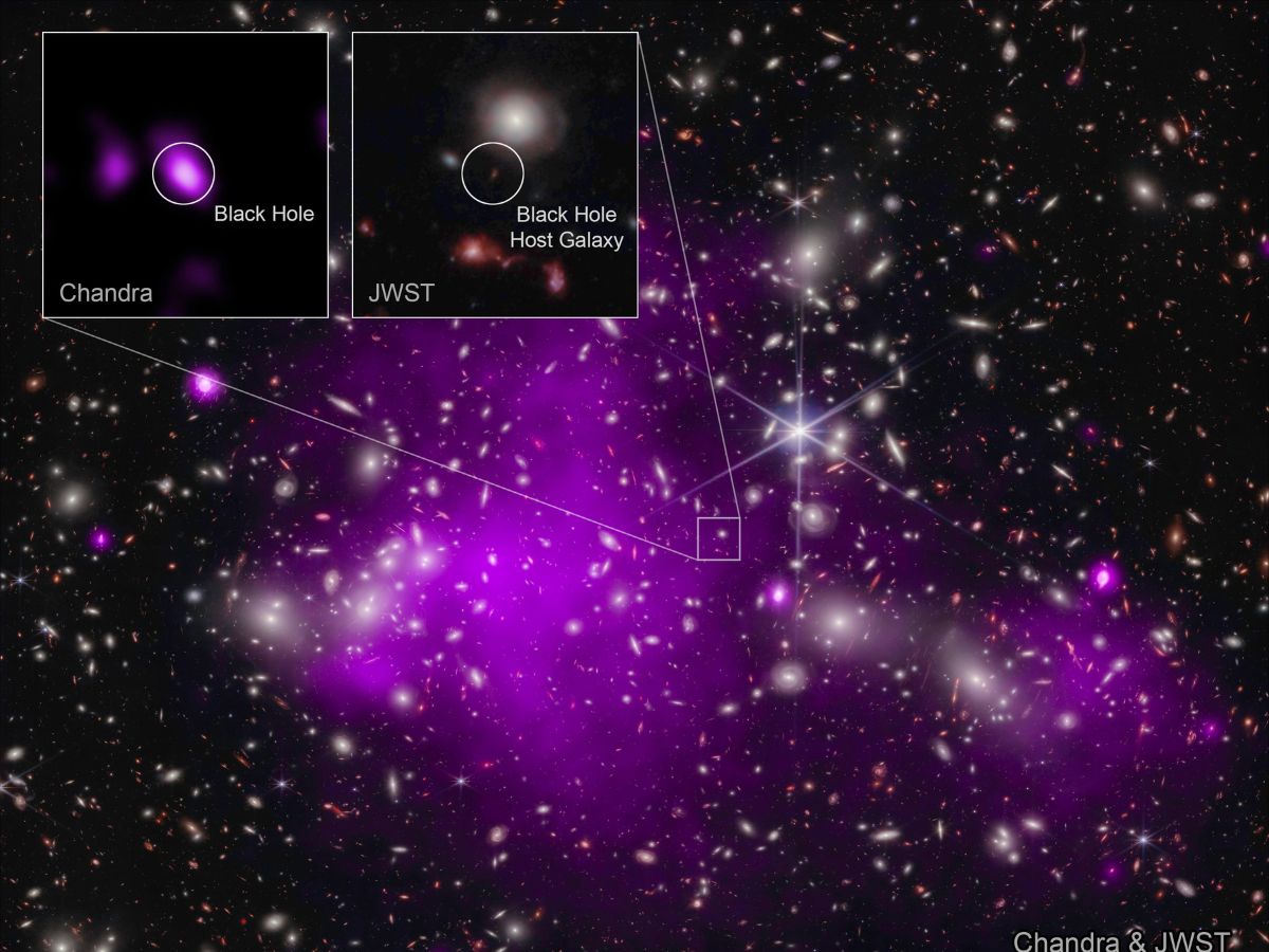 NASA's Chandra X-ray and James Webb Space Telescope (Webb) have made observations which have allowed scientists to discover the most distant, and hence, the most ancient supermassive black hole in X-rays. (Photo: NASA)