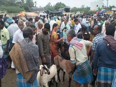 கோபிநாதம்பட்டி கூட்ரோடு வார சந்தையில் கால்நடைகள் விலை அதிகரிப்பு - ரூ.5 கோடிக்கு வர்த்தகம்
