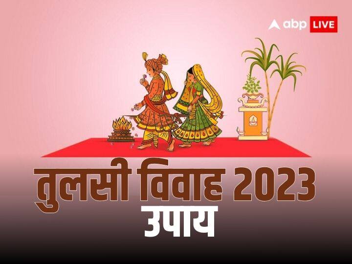 Tulsi Vivah 2023 Date Upay Remedies To Overcome Marriage Problems Tulsi Vivah 2023: तुलसी विवाह के दिन ये उपाय करने से वैवाहिक जीवन की समस्याएं होती हैं खत्म