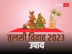Tulsi Vivah 2023: तुलसी विवाह पर जरूर करें उपाय, वैवाहिक जीवन में आएगी प्रेम की बहार