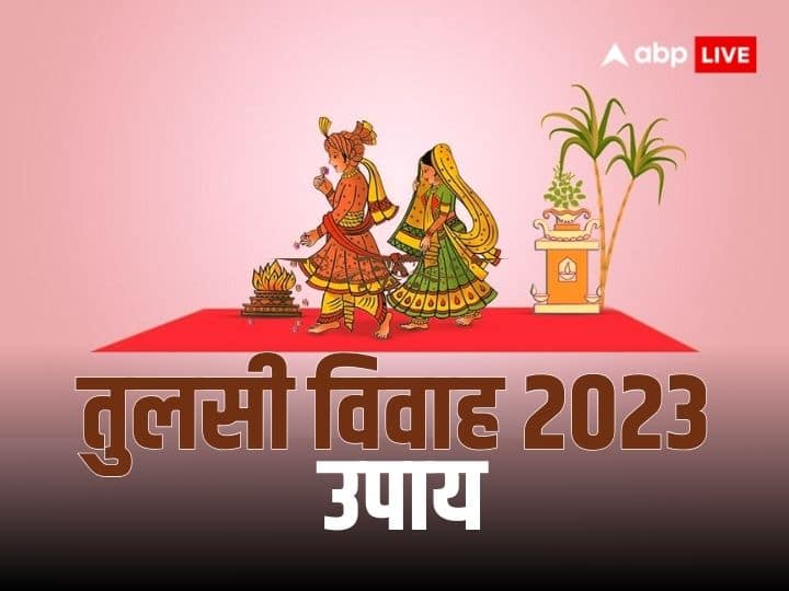 Tulsi Vivah 2023: पंचांग के अनुसार कार्तिक महीने के शुक्ल पक्ष की एकादशी तिथि को देवउठनी एकादशी होती है. इस दिन तुलसी विवाह का पर्व मनाया जाता है. इस साल तुलसी विवाह शुक्रवार 24 नवंबर 2023 को है.