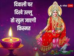 Diwali 2023: दिवाली के दिन अगर दिख जाए उल्लू तो समझ लें बन जाएंगे आपके सभी बिगड़े काम