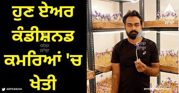 Now farming will also be done in air conditioned rooms. Such a crop will be produced in these rooms, the price of which is 6 lakh rupees per kg. Punjab News: ਪੰਜਾਬੀਆਂ ਦਾ ਨਵਾਂ ਜੁਗਾੜ! ਹੁਣ ਏਅਰ ਕੰਡੀਸ਼ਨਡ ਕਮਰਿਆਂ 'ਚ ਖੇਤੀ, 6 ਲੱਖ ਰੁਪਏ ਪ੍ਰਤੀ ਕਿੱਲੋ ਵਿਕੇਗੀ ਫਸਲ