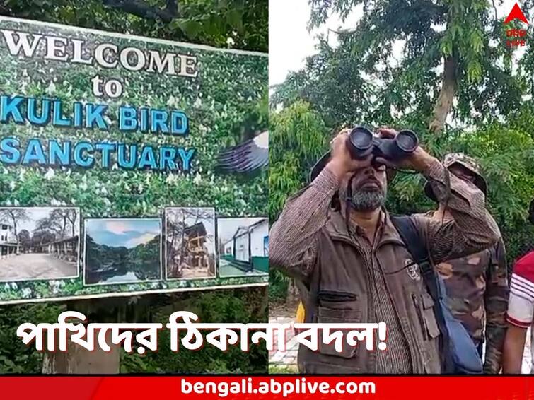 Uttar Dinajpur Raiganj Kulik Bird and Wildlife Sanctuary sees very few migratory birds this year compared to other years Uttar Dinajpur: কোথা গেলে দেখা মেলে! বছর বছর ভিড় জমালেও, এবছর খাঁ খাঁ, মুখ ফেরাল পরিযায়ী পাখিরা