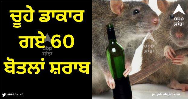 Rats drank 60 bottles of liquor. They have done this not in any contract but in the police station. Viral Video: ਚੂਹੇ ਡਾਕਾਰ ਗਏ 60 ਬੋਤਲਾਂ ਸ਼ਰਾਬ, 'ਗ੍ਰਿਫਤਾਰੀ' ਲਈ ਐਕਸ਼ਨ ਮੋਡ 'ਚ ਪੁਲਿਸ