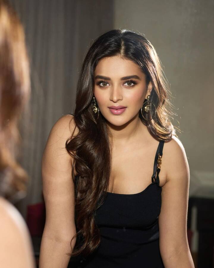 నిధి అగర్వాల్ అందమైన ఫోటోలు (Image Credit: Nidhi Agerwal/Instagram)