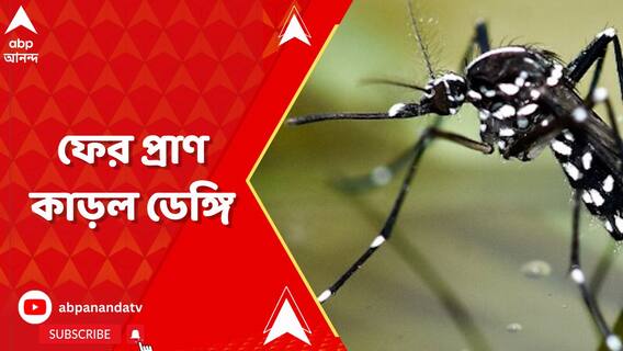 ফের প্রাণ কাড়ল ডেঙ্গি, বেলেঘাটা আইডি হাসপাতালে ডেঙ্গি আক্রান্ত যুবকের মৃত্যু