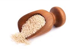 Health: ਸਰਦੀਆਂ ‘ਚ ਸਿਹਤ ਅਤੇ ਤਾਕਤ ਦਾ ਖਜਾਨਾ ਹੈ ਸਫੇਦ ਤਿੱਲ, ਕਈ ਬਿਮਾਰੀਆਂ ‘ਚ ਦਵਾਈ ਦੀ ਤਰ੍ਹਾਂ ਕਰਦਾ ਕੰਮ