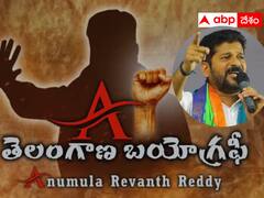 కేసీఆర్‌కు దీటైన నేతగా రేవంత్ - బయోగ్రఫీ రెడీ చేసిన ఫ్యాన్స్ !