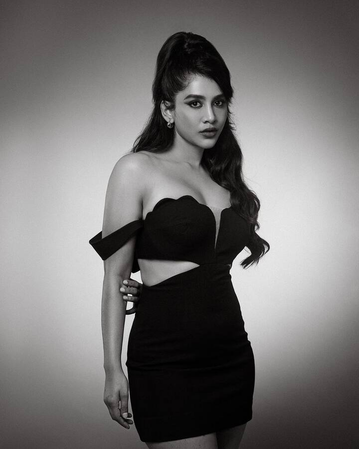 నభా నటేష్ ఫోటోలు -Image Credit: Nabha Natesh/Instagram