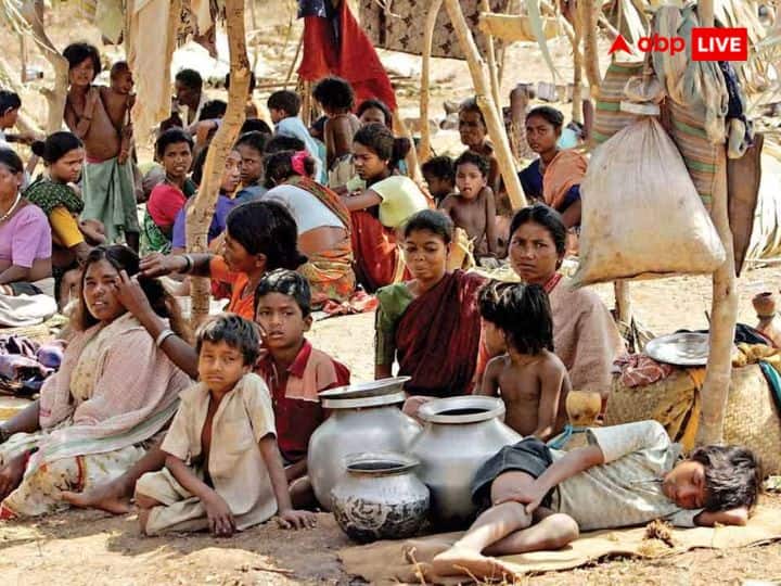 UNDP Says 18 Crore And Above Population In India Lives Below Poverty Line Then Why Free Food For 80 Crore Poverty In India: देश की 18.50 करोड़ आबादी गरीबी रेखा के नीचे, फिर क्यों 80 करोड़ को मुफ्त अनाज!