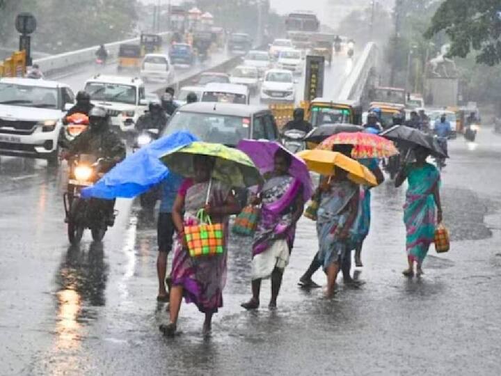 According to the Meteorological Department, very heavy rain may occur in 5 districts and heavy rain in 19 districts in Tamil Nadu today. TN Rain Alert: 5 மாவட்டங்களுக்கு ஆரஞ்சு அலர்ட்.. 19 மாவட்டங்களுக்கு கனமழை எச்சரிக்கை.. குளுகுளு வானிலை அப்டேட்..