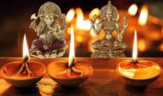 Dhanteras 2023: ધનતેરસના અવસરે ભૂલથી પણ આ વસ્તુની ન કરશો ખરીદી, દ્રરિદ્રતાને સાથે નોતરશે આ નુકસાન