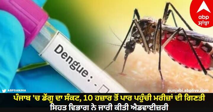 Number Of Dengue Patients Crossed 10 Thousand In Punjab know details Dengue in Punjab: ਪੰਜਾਬ 'ਚ ਡੇਂਗੂ ਦਾ ਸੰਕਟ, 10 ਹਜ਼ਾਰ ਤੋਂ ਪਾਰ ਪਹੁੰਚੀ ਮਰੀਜ਼ਾਂ ਦੀ ਗਿਣਤੀ, ਸਿਹਤ ਵਿਭਾਗ ਨੇ ਜਾਰੀ ਕੀਤੀ ਐਡਵਾਈਜ਼ਰੀ