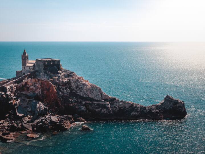 ब्लू रिंग ऑक्टोपस इस जहर का इस्तेमाल अपने शिकार के लिए करते हैं. अपने शिकार में वो ये जहर अपनी नुकिली चोंच से भर देते हैं जिसके बाद वो दम तोड़ देता है.