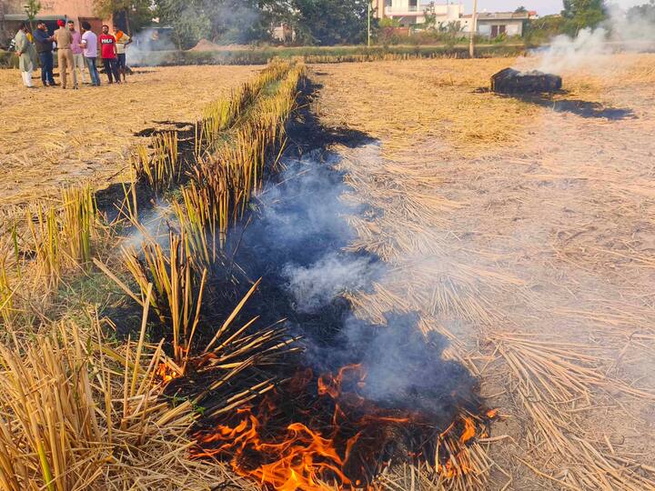 The farmers, who said that the smoke from stubble burning affects them first, demanded compensationin lieu of withdrawing the practice of stubble burning. Image Source: PTI