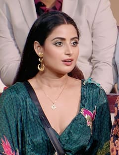 जब इन हसीनाओं ने Bigg Boss के घर में मचाया कोहराम, मिला वैंप का टैग, Aishwarya Sharma से लेकर हिना खान तक का नाम है शामिल