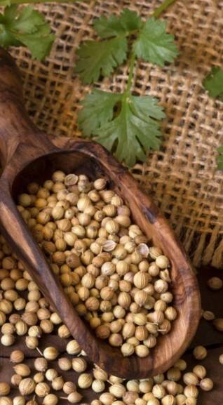 ધનતેરસના દિવસે કેમ ખરીદવા જોઈએ ધાણા