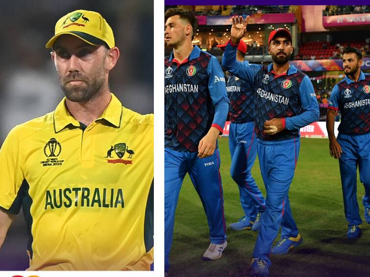 AUS vs AFG Glenn Maxwell didnt give any chance to us after dropped catches says Hasmatullah Shahidi AUS vs AFG: ఆ ఒక్క క్యాచ్‌ ఎంత పని చేసింది, ముజీబ్‌ జారవిడిచింది మ్యాచ్‌ను