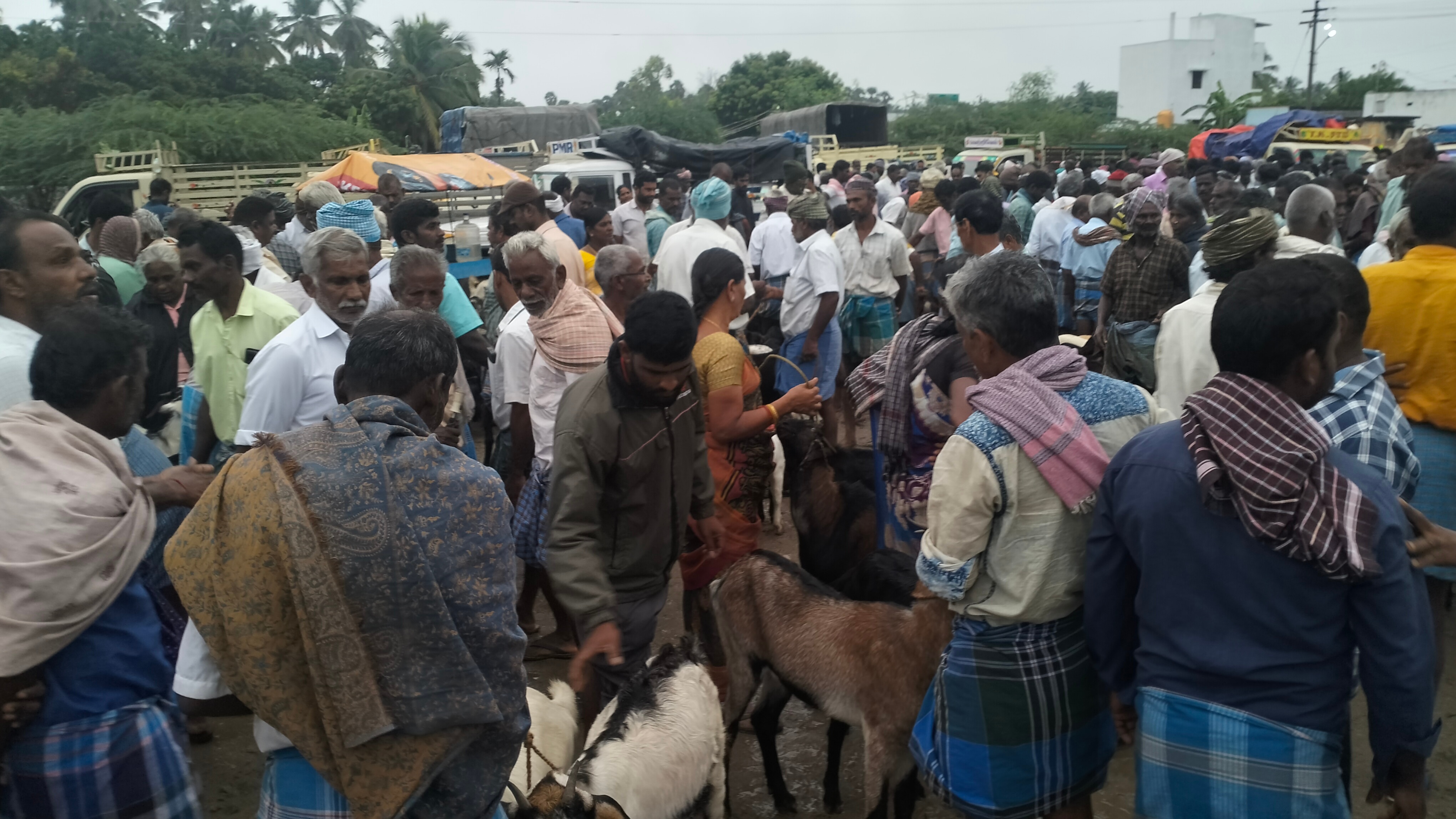 கோபிநாதம்பட்டி கூட்ரோடு வார சந்தையில் கால்நடைகள் விலை அதிகரிப்பு - ரூ.5 கோடிக்கு வர்த்தகம்